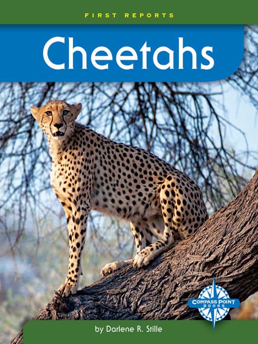 Title details for Cheetahs by Darlene R. Stille - Available